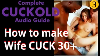 How to Cuckold Wife after age 30 &lpar;Complete Cuckold Sex guide in English Audio part 3&rpar;