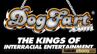 Ebony cutie sucks several dicks for a facial bukkake 8